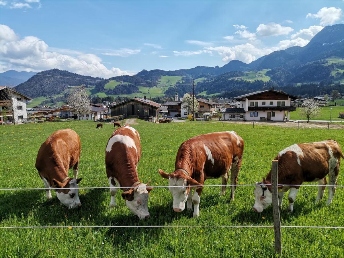 Ferienhaus Weberhof Reith im Alpbachtal Eksteriør billede